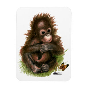Magnet Flexible Bébé orang-outan et papillon