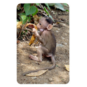 Magnet Flexible Bébé singe