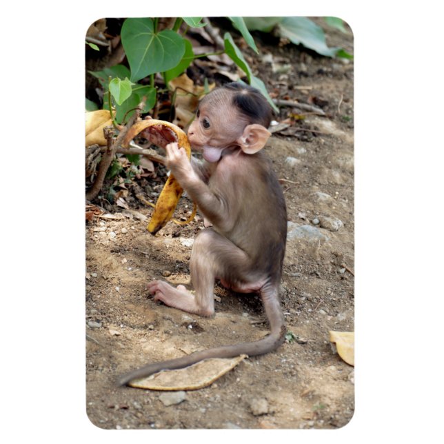 Magnet Flexible Bébé singe (Vertical)