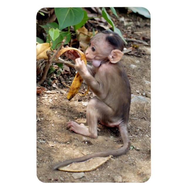 Magnet Flexible Bébé singe (Vertical)