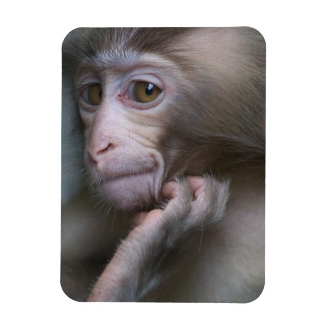 Magnet Flexible Bébé singe (Vertical)