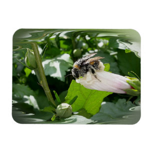 Magnet Flexible Bee in summer