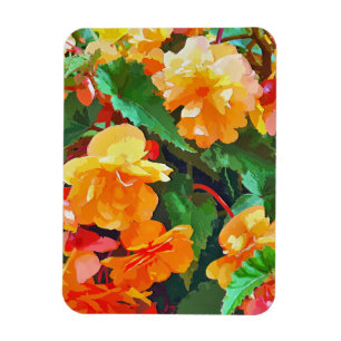 MAGNET FLEXIBLE BEGONIAS