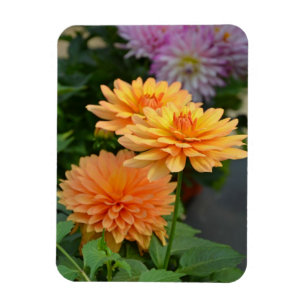 Magnet Flexible Bel aimant orange de réfrigérateur de fleur de