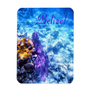 Magnet Flexible Belize ! Aimant pourpre de prime de fan de mer