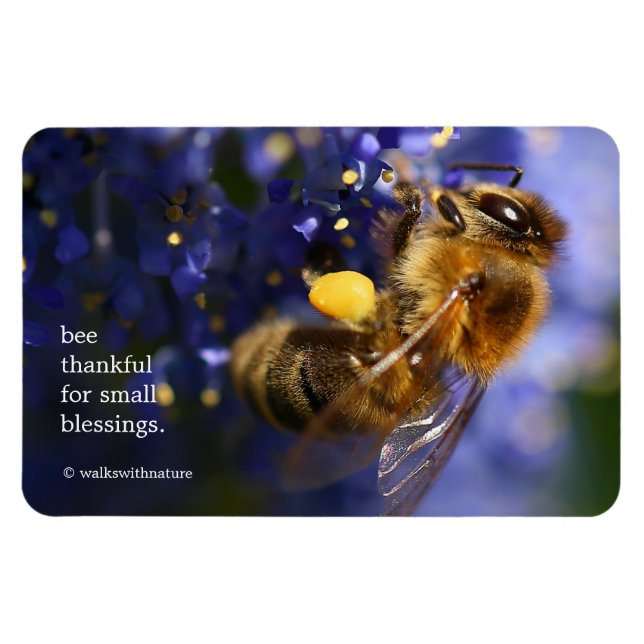 Magnet Flexible Belle abeille de miel sur la Californie Lilac (Horizontal)