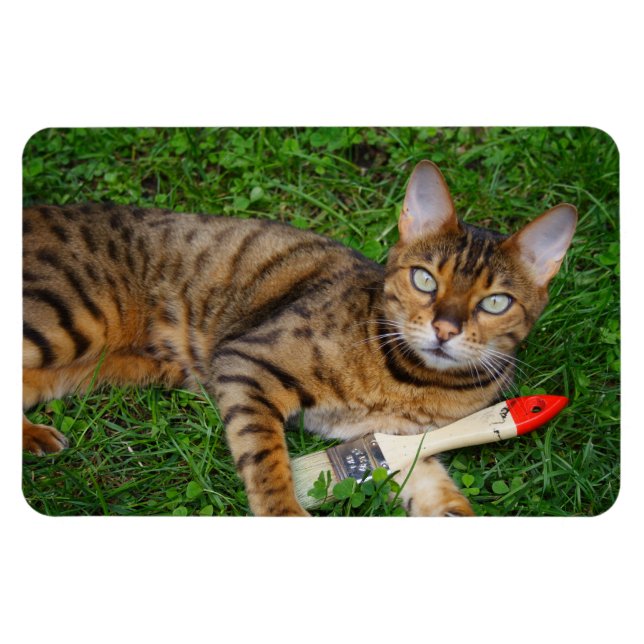 Magnet Flexible Belle Chat Bengale (Horizontal)
