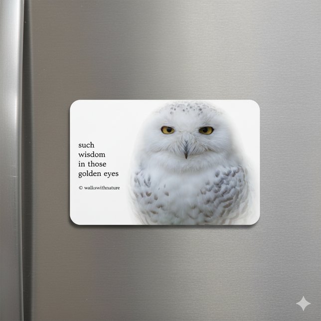 Magnet Flexible Belle, Dreamy et Serene Snowy Owl (Snowy Owl Magnet on Fridge Cover Photo)
