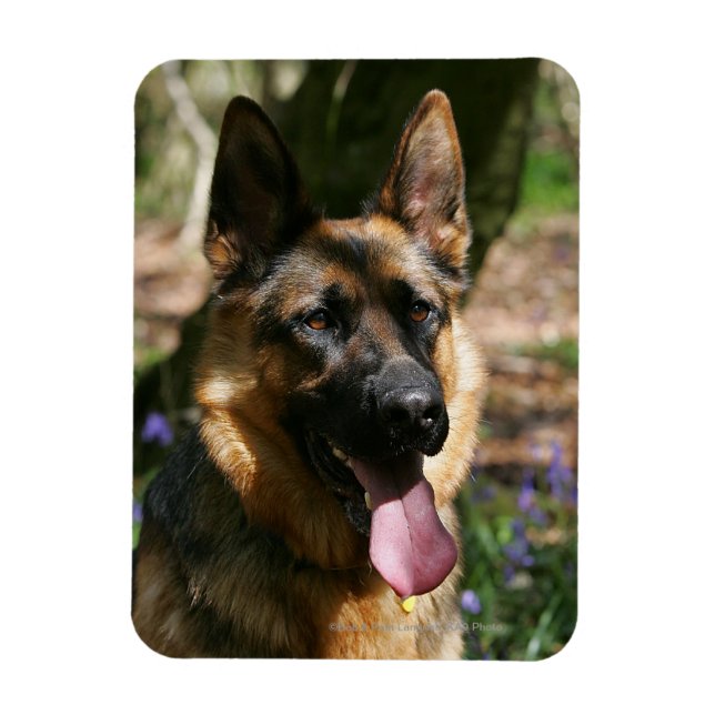 Magnet Flexible Berger allemand (Vertical)