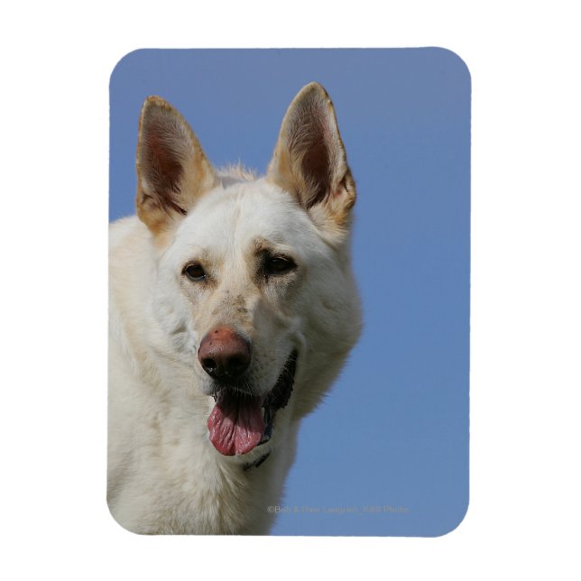 Magnet Flexible Berger allemand blanc (Vertical)