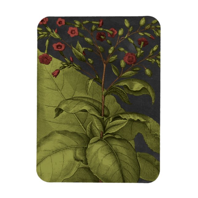 Magnet Flexible Besler Dramatique I (Vertical)