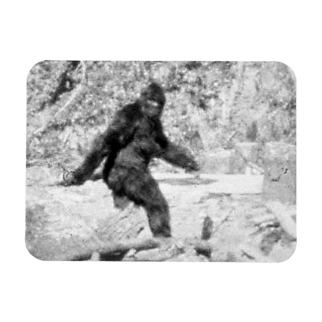 Magnet Flexible Bigfoot (Horizontal)