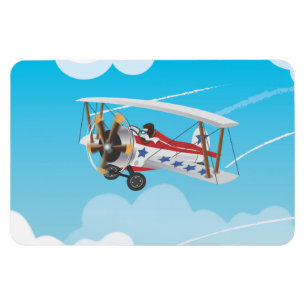 Magnet Flexible biplane