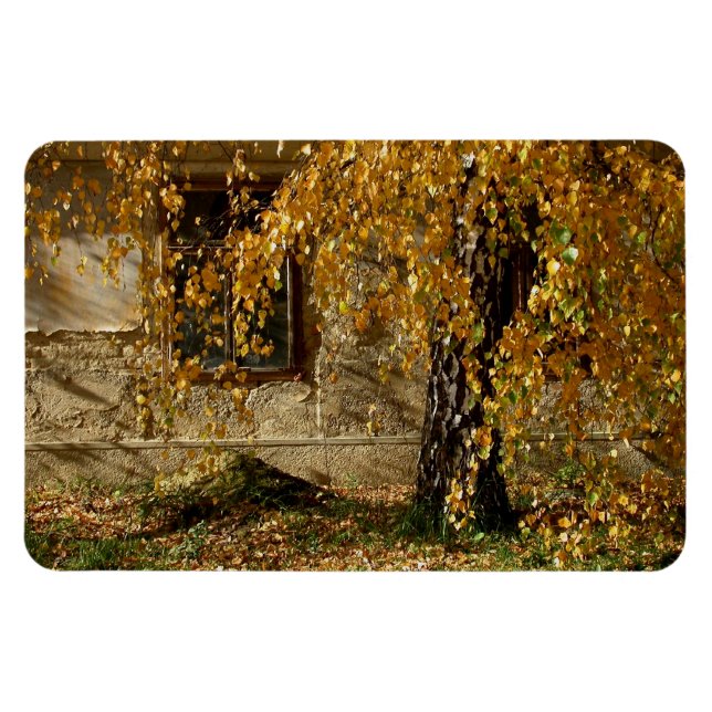 Magnet Flexible Birch En Automne (Horizontal)
