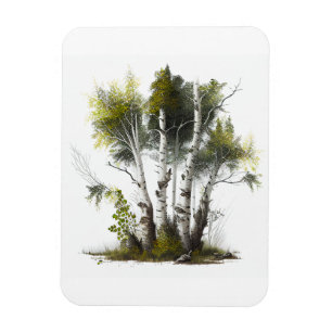 Magnet Flexible Birch Trees, Les Birches Irlande du Nord