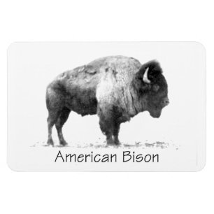 Magnet Flexible Bison américain