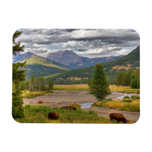 Magnet Flexible Bison de Yellowstone (Horizontal)