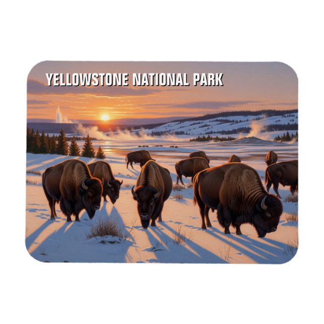 Magnet Flexible Bison du parc national de Yellowstone (Horizontal)