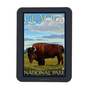 Magnet Flexible Bison Scene - Glacier National Park, MT
