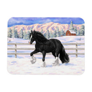 Magnet Flexible Black Gypsy Vanner Irlandais Cob Brouillon Cheval 