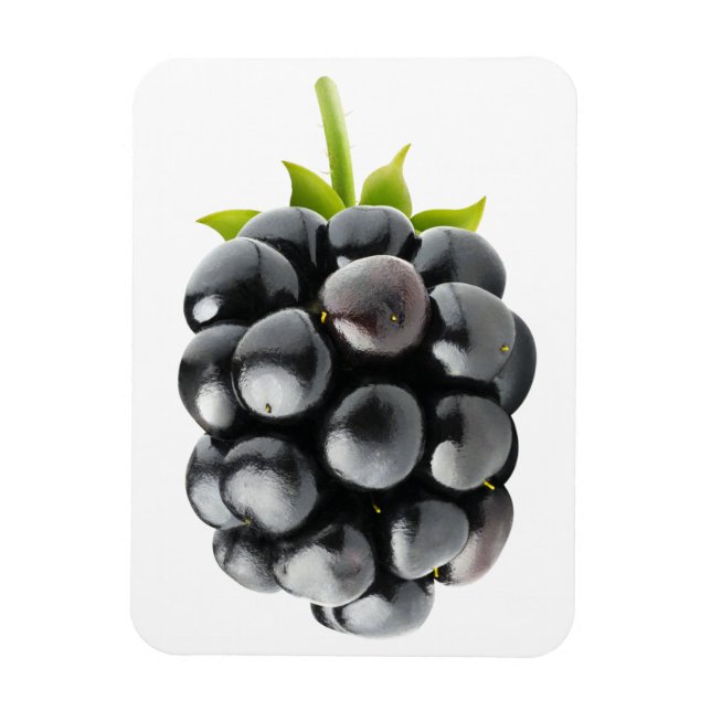 Magnet Flexible Blackberry (Vertical)