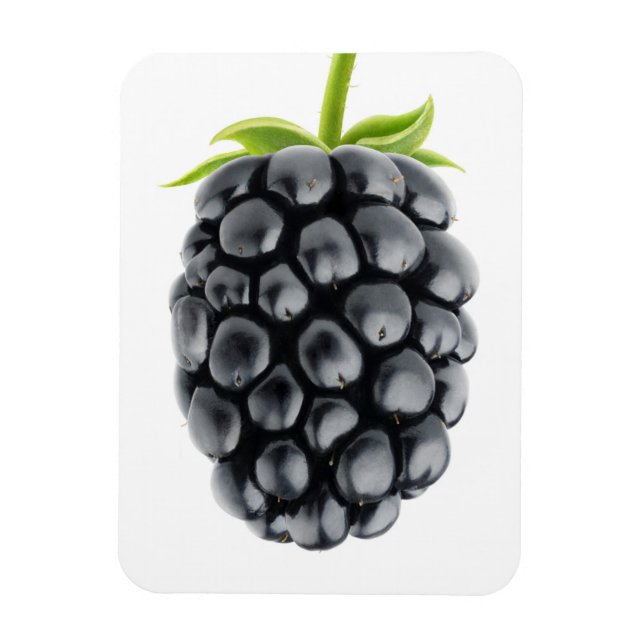 Magnet Flexible Blackberry (Vertical)