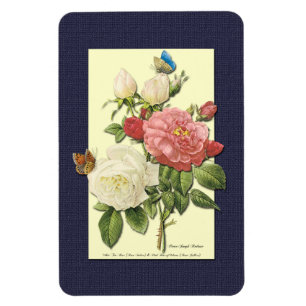 Magnet Flexible Blanc rose Vintage Roses botaniques