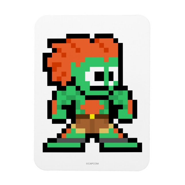 Magnet Flexible Blanka 8 bits (Vertical)