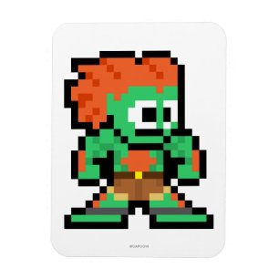 Magnet Flexible Blanka à 8 bits