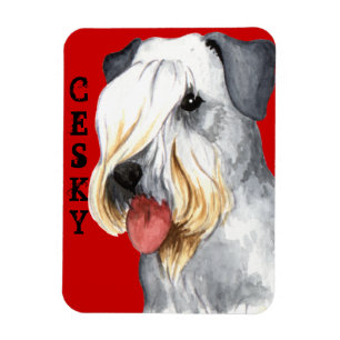 Magnet Flexible Bloc de couleurs Cesky Terrier