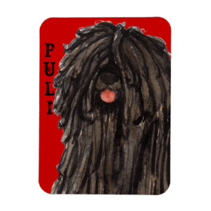 Magnet Flexible Bloc de couleurs Puli