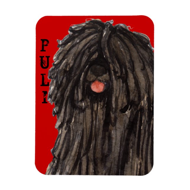 Magnet Flexible Bloc de couleurs Puli (Vertical)