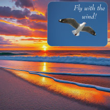 Blue Sky Flying Seagull Inspiration