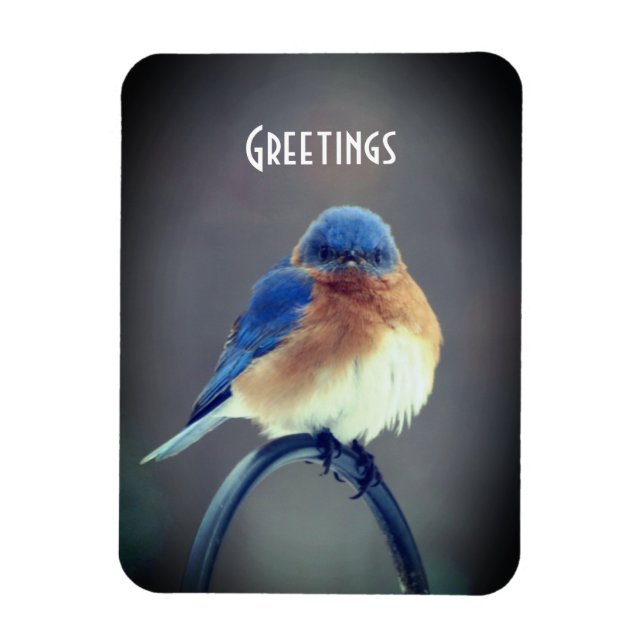 Magnet Flexible Bluebird (Vertical)