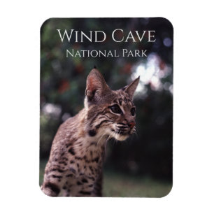 Magnet Flexible Bobcat au parc national Wind Cave National Park, D