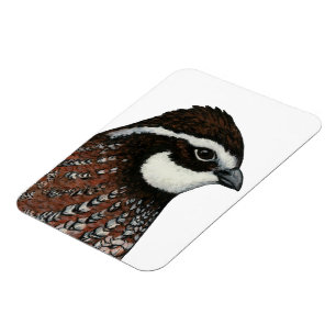 Magnet Flexible Bobwhite Quail Head