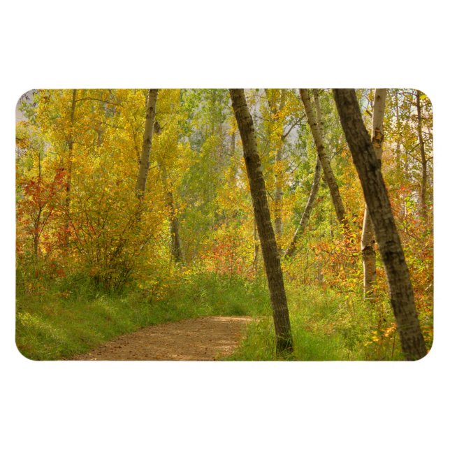 Magnet Flexible Bois d'automne (Horizontal)