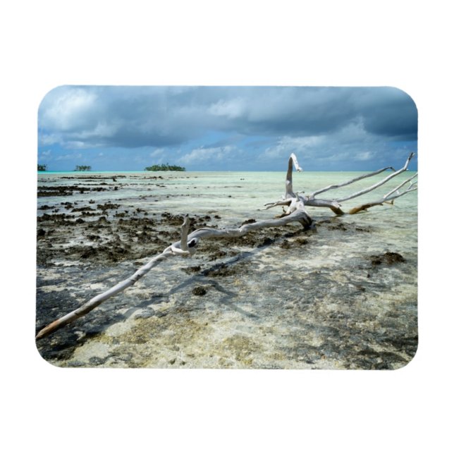 Magnet Flexible Bois mort dans l'aimant rectangulaire du Pacifique (Horizontal)