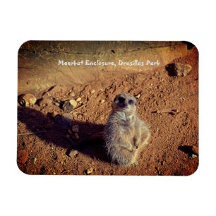Magnet Flexible Boîtier Meerkat, Parc Drusillas