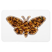 Bombyx Mori Silk Moth Cycle de vie Silhouette