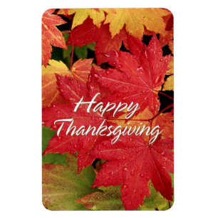 Magnet Flexible Bon thanksgiving 8 Aimant Premium