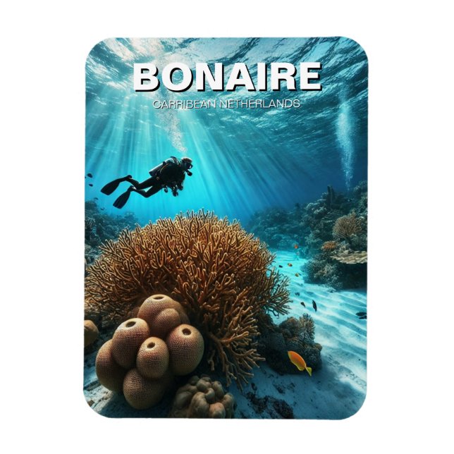 Magnet Flexible Bonaire Caraibes Pays-Bas Plongée Plongée Plongée (Vertical)