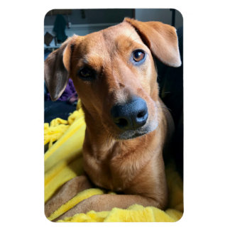 Magnet Flexible Bonjour tout le monde