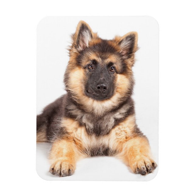 Magnet Flexible Bordure Collie Allemand Shepherd Mix (Vertical)