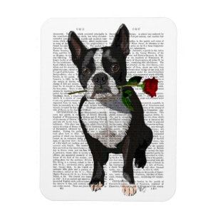 Magnet Flexible Boston Terrier avec Rose à la bouche