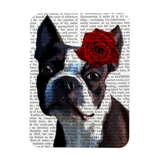 Magnet Flexible Boston Terrier avec Rose sur Head (Vertical)