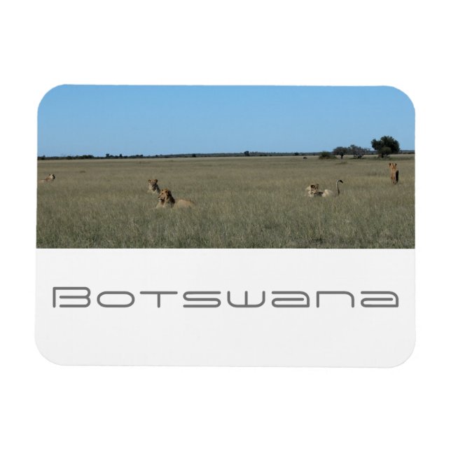 Magnet Flexible Botswana Centre Kalahari Lions Savannah Voyage (Horizontal)
