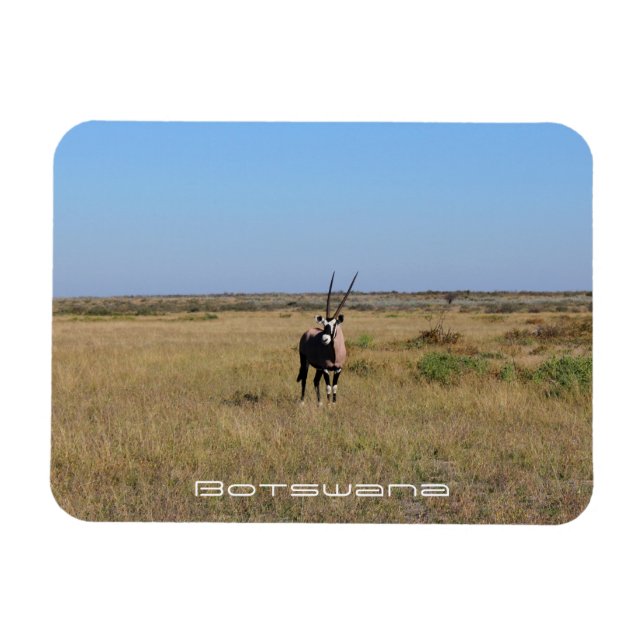 Magnet Flexible Botswana Oryx Animal Savannah Voyage (Horizontal)