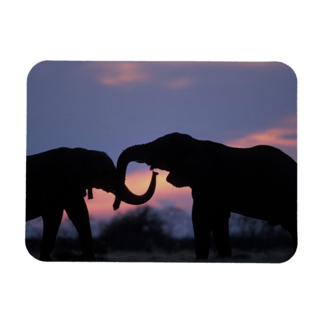 Magnet Flexible Botswana, Parc national de Chobe, Eléphants (Horizontal)