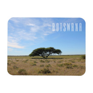 Magnet Flexible Botswana Paysage Savannah Savanna Arbre Herbe